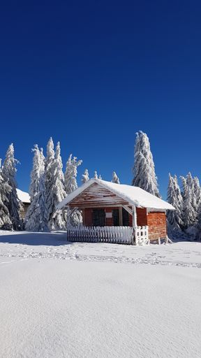 A lonely wooden house against the trees on a snowy winter day