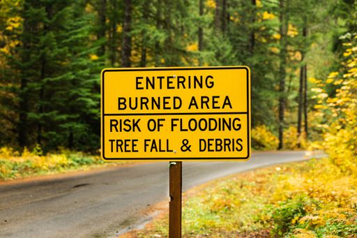 A selective focus shot of an entering burned area sign on the side of a road in a forest