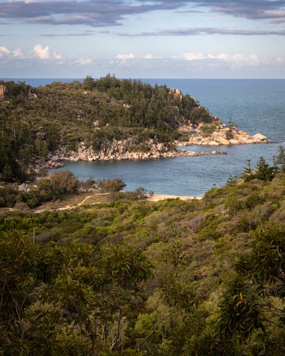 An aerial vertical shot of the trees on the shore, Florence Bay on Magnetic Island, Australia