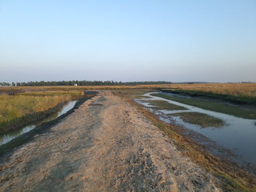 A path in a country area with rivers and fields around