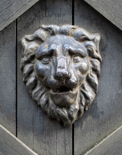 A vertical shot of a lion statue on the wooden wall