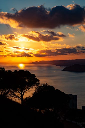 A vertical shot of a coastline with golden cloudy sunset reflected on the sea