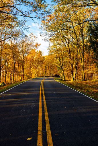 The Skyline Drive route surrounded by beautiful trees at the Shenandoah National Park during the fall