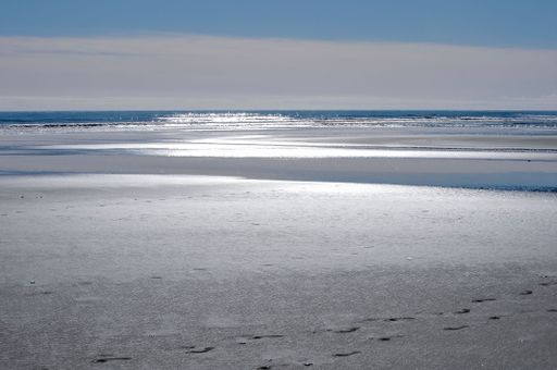 The beautiful sandy Otaki beach in New Zealand with the ocean and sunlight reflected in the waters