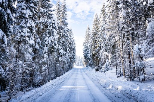 A a quiet country road in the snow between fir trees