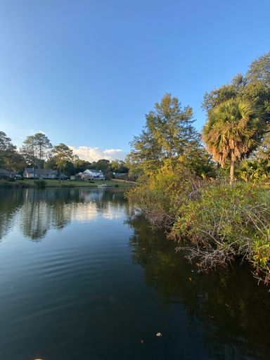 A scenic view of a tranquil river surrounded by lush trees and residential homes in the distance