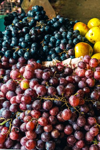 A vertical shot of grapes