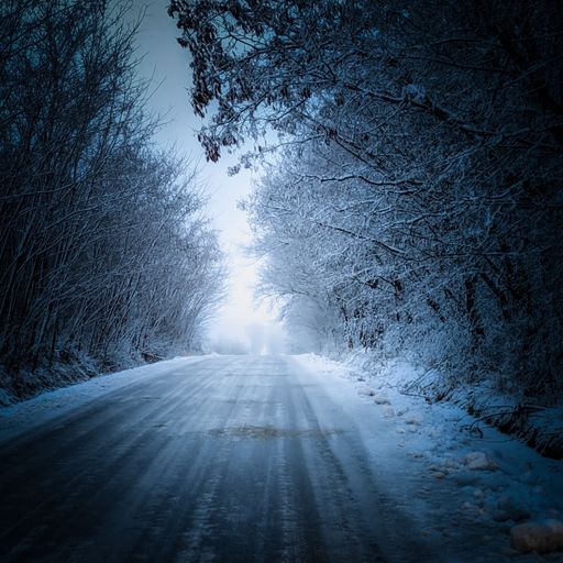 An empty road surrounded by frosty trees