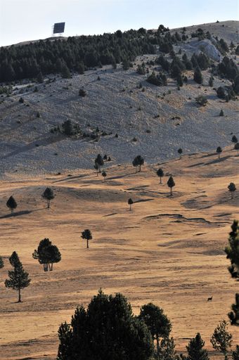A vertical shot of blue sand dunes on a desert at Alt Pirineu Natural Park in Catalonia, Sapin