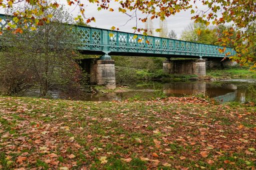 A beautiful autumn view of green bridge over the river surrounded by colorful trees and fallen leaves