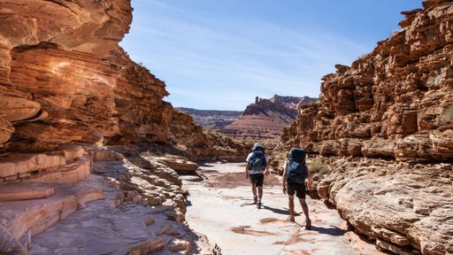 A closeup shot of two Canyon hikers, hiking on a sunny day