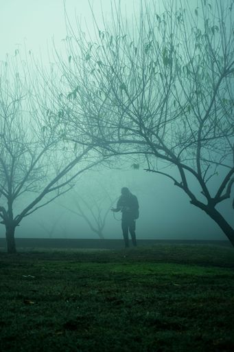 A vertical shot of a person in a green field with bare trees on a foggy day.