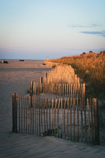 A vertical shot of row of small wooden fences between sandy beach and the field during sunset
