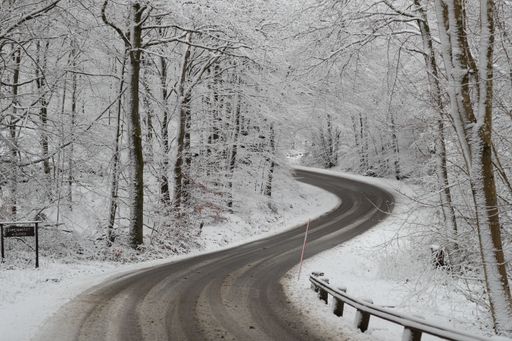 A scenic winter landscape featuring a snow-covered road winding through a forest of tall frosted trees