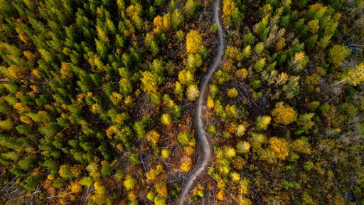 an Aerial shot over autumn valleys