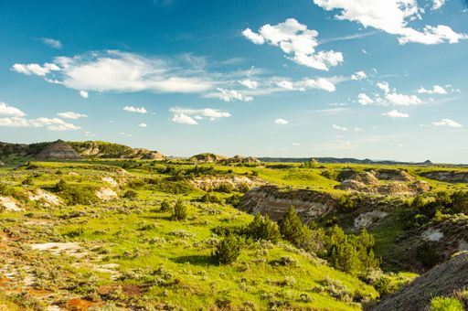 A scenic view of bright lush green vegetation of Teddy Roosevelt National Park in North Dakota