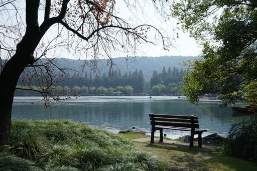 A scenic view of a bench on shore of a lake in a green park on a sunny day