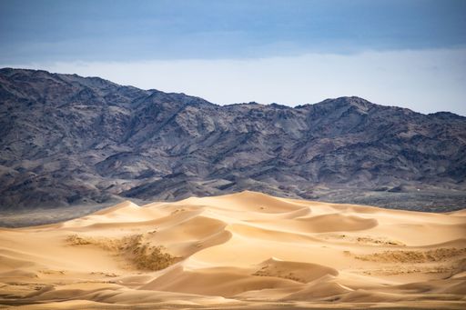 A mesmerizing view of the sandy desert, on a bright sunny day with a blue sky and dune drift in the background
