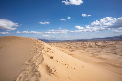 A mesmerizing view of the dunes in the desert, on a bright sunny day with blue sky and fluffy clouds in the background