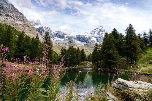 A river surrounded by trees and rocky mountains, Breuil-Cervinia, Aosta Valley, Italy