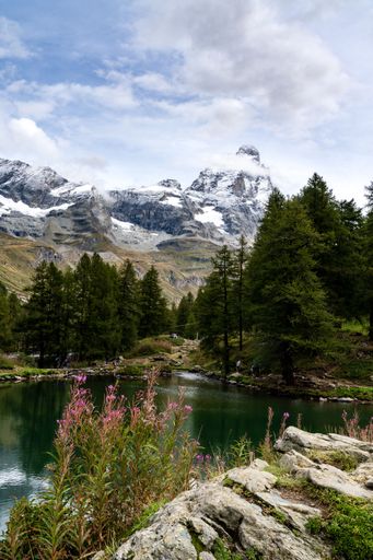 A vertical shot of a river surrounded by trees and rocky mountains, Breuil-Cervinia, Italy