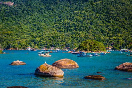 Boats and ships floating on the lake next to a mountain covered with tropical trees.