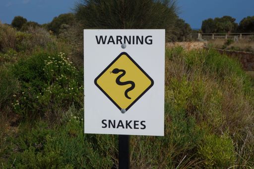 A closeup of a warning sign about snakes with shrubs in the background