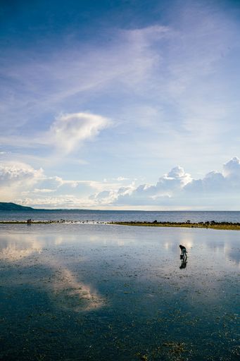 A vertical shot of a person silhouette walking on the beach with container in the hand