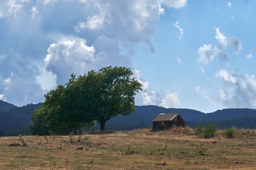 A small rural house with a single tree in a field and a mountain in the background under cloudy sky