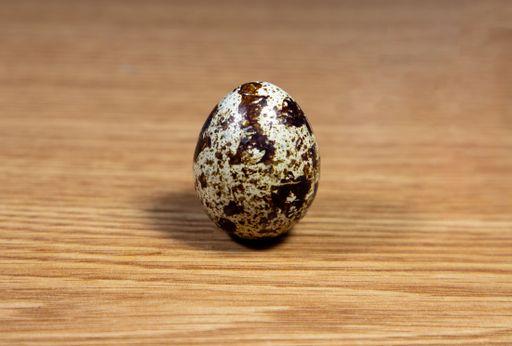 A closeup shot of a quail egg with a black and white shell placed on a wooden board
