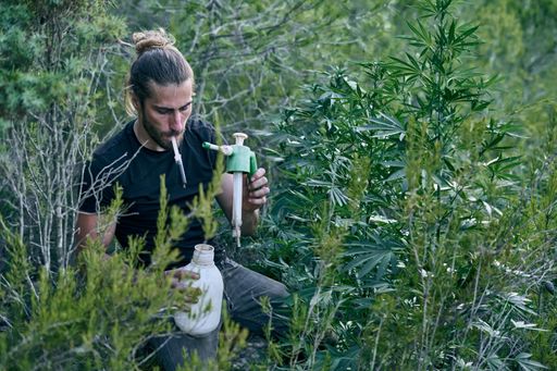 A Caucasian gardener taking care of his green garden