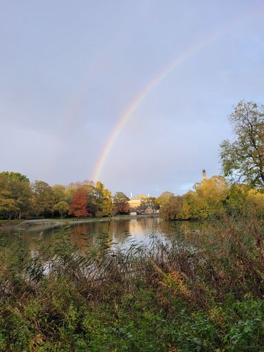 A vertical shot of the rainbow over Leazes Park in Newcastle upon Tyne, United Kingdom