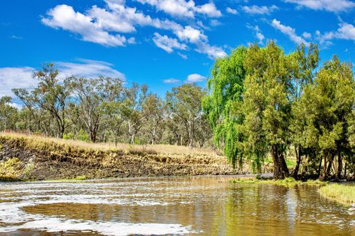 A beautiful shot of the Lake Inverell Reserve and trees reflecting on its surface, Inverell, Australia