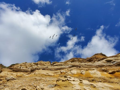A low angle shot of a flock of birds flying in a cloudy blue sky over a cave on a sunny day