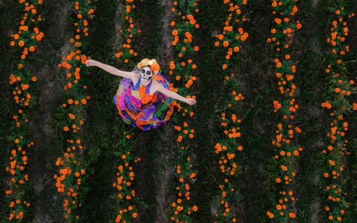A young woman wearing a colorful traditional costume and makeup, celebrating the Day of the Dead (Dia de los Muertos) on a floral field