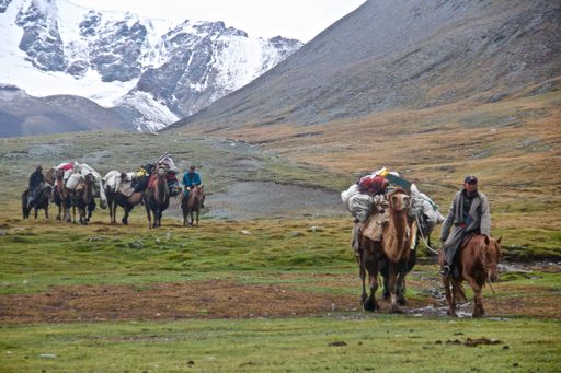 Golden eagle festival, Eagle festival Mongolia, Mongolian festival, golden eagle, eagle hunters, mongolian eagle hunters, falconer, mongolian sport, H