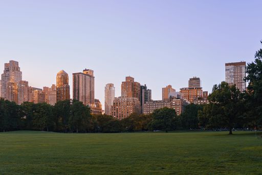 The view of the urban buildings of New York City from Central Park at sunset