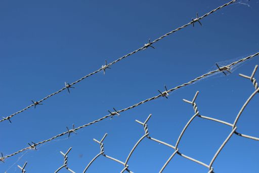 A low-angle shot of a barbed wire against the clear blue sky