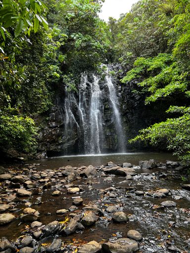 A vertical shot of a beautiful waterfall coming down the rocky cliff in the middle of a green forest