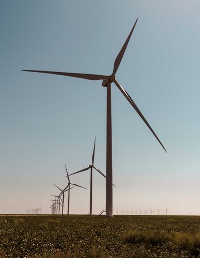 Wind farm in the Texas Panhandle