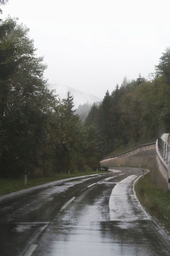 The vertical shot of a misty forest road in the countryside of Italy