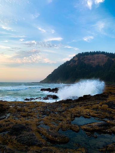 A vertical shot of waves crashing on the Oregon coastline