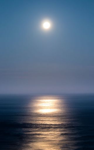 A vertical shot of the sun shining over a beautiful sea