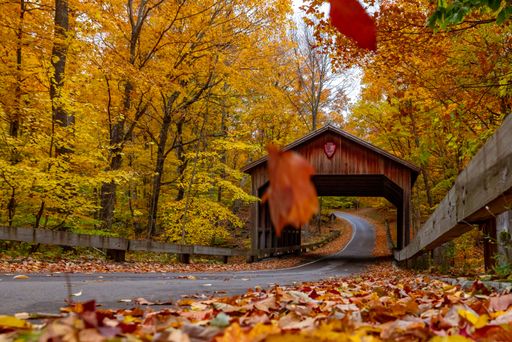 A scenic view of an abandoned covered bridge surrounded by a blanket of autumn foliage in Michigan