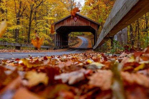 A scenic view of an abandoned covered bridge surrounded by a blanket of autumn foliage in Michigan