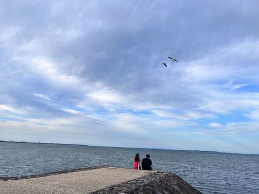 A beautiful shot of a couple sitting near the ocean