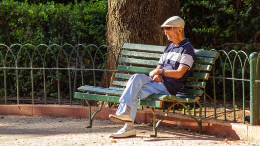 An adorable elderly man relaxing on a wooden bench in an evergreen park on a sunny day