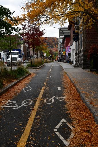 A vertical shot of the fall scene with a bike freeway covered with dried orange leaves surrounded by buildings and colorful trees in the daytime