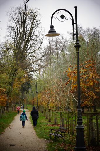 A back shot of People walking on a footpath of a park on a cloudy day in the autumn
