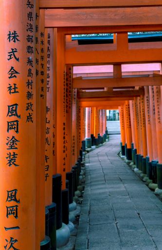 A vertical shot of a pathway in Fushimi-Inari Taisha with Japanese hieroglyphics on poles